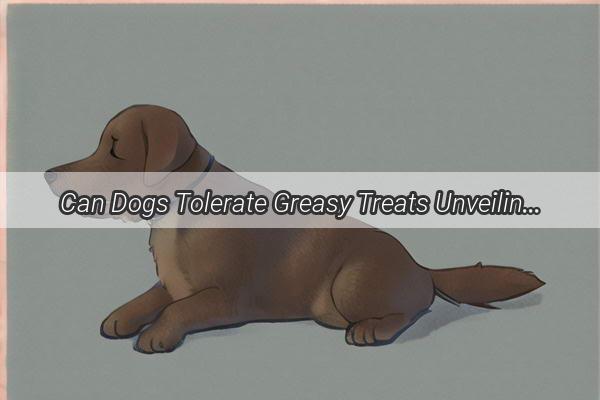 Can Dogs Tolerate Greasy Treats Unveiling the Truth About Fatty Foods for Furry Friends